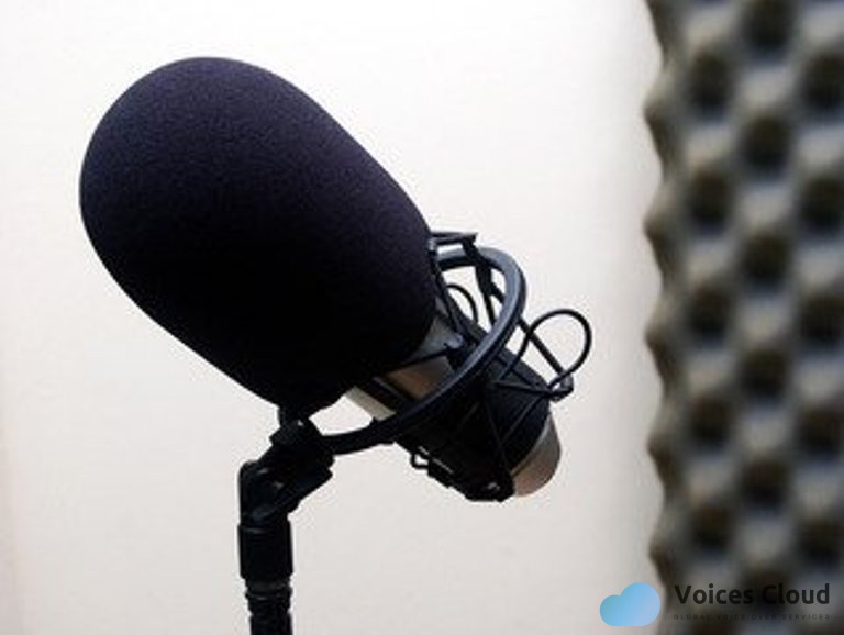 3831Produce radio audio adv with American voice