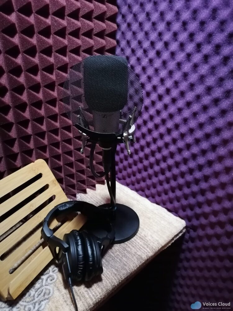 5604Russian native voice actor