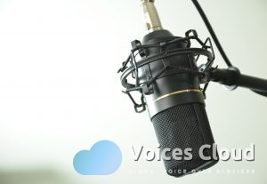 5402Lao Female Voice Over Talent