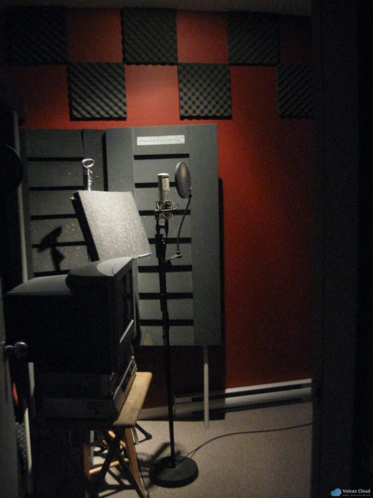 8042French female Voice Over
