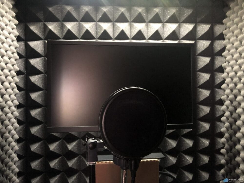6734Spanish Voice over