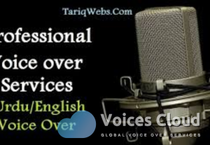7118Urdu voice over services