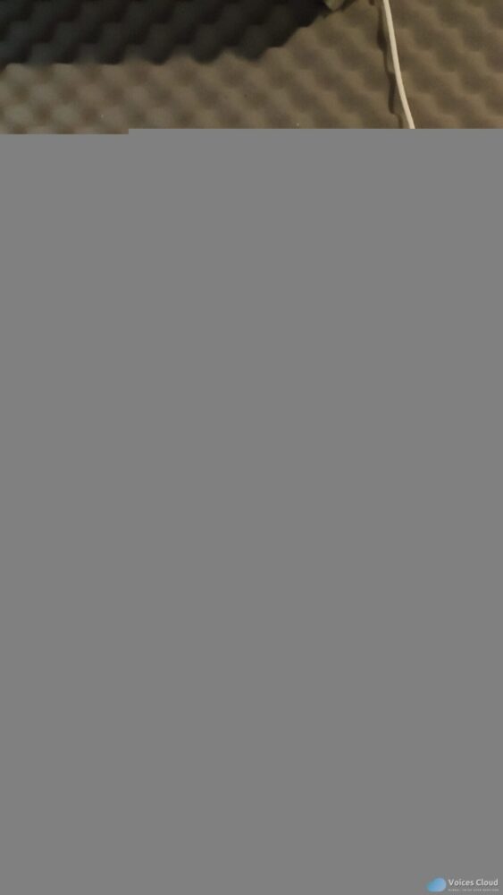 8056Native Spanish – Latin America (Neutral)