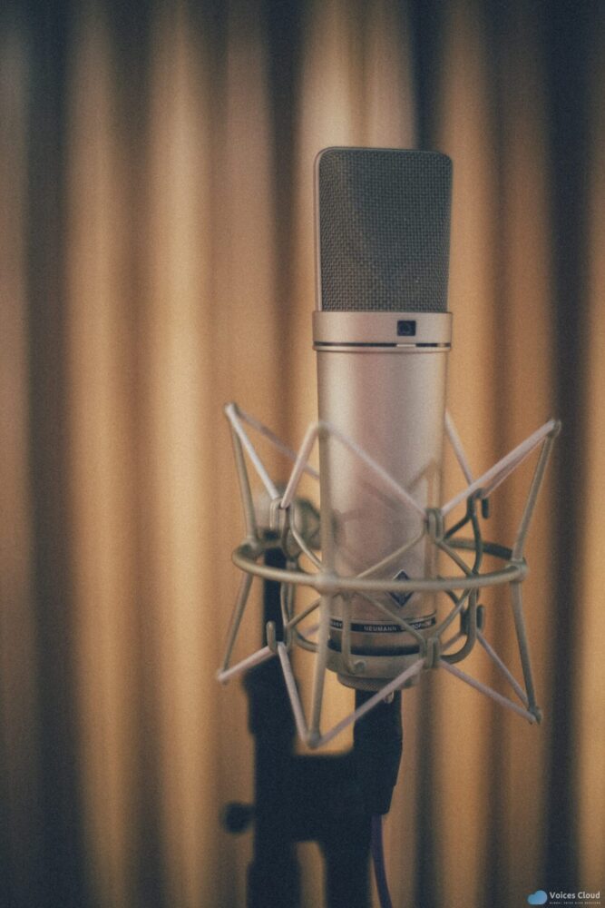 7231Professional Japanese voice over
