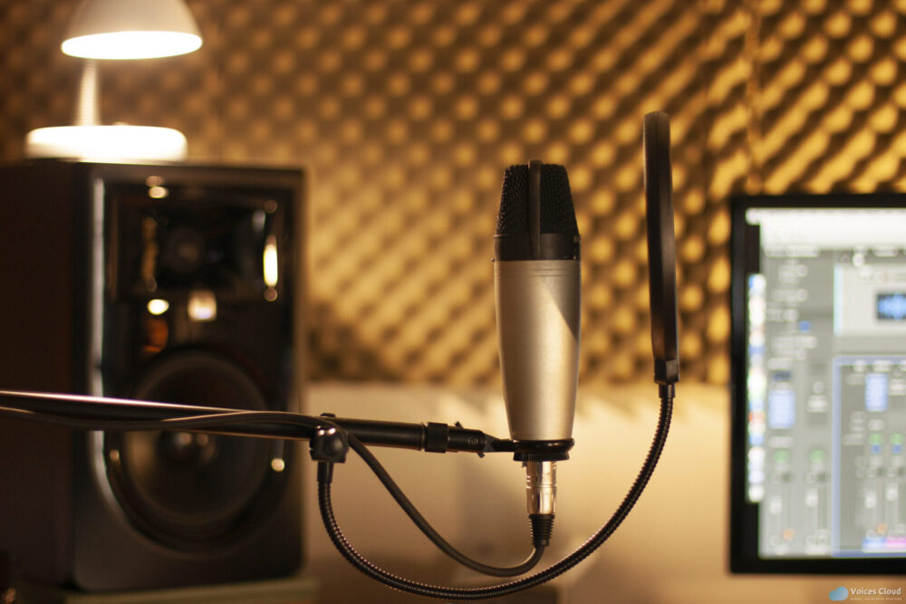 9681Brazilian Portuguese Voice Over Artist