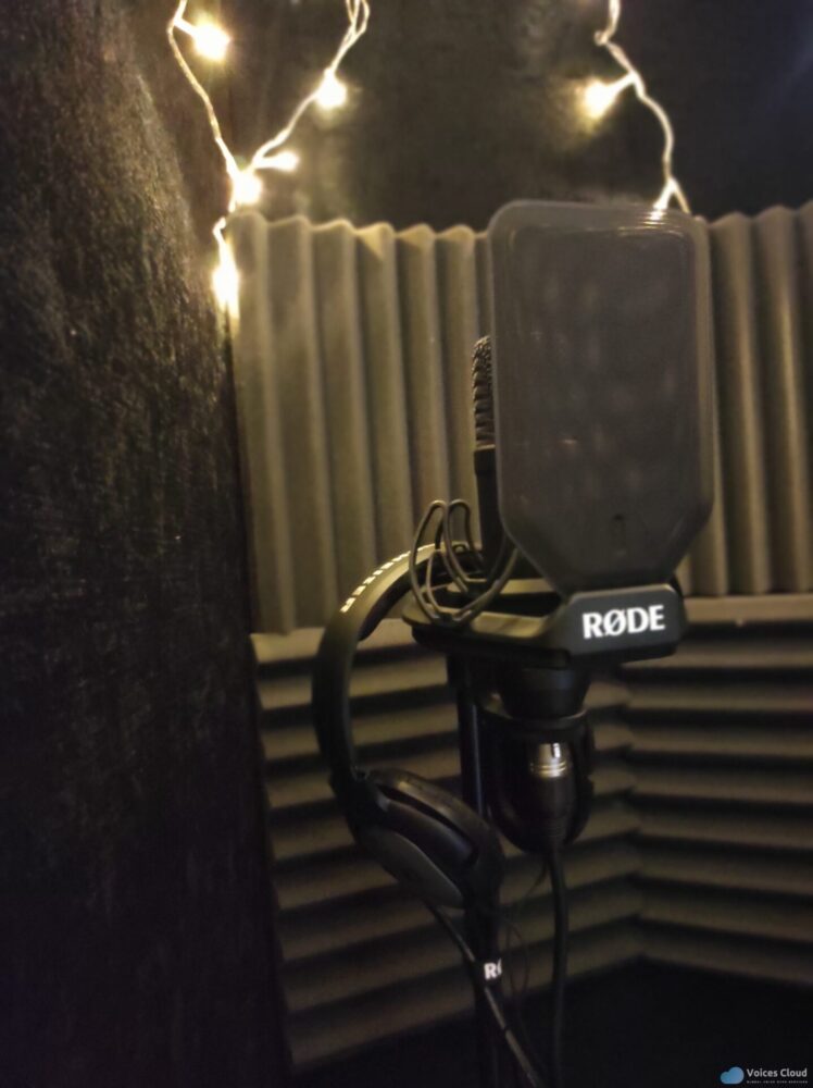 9444Professional Arabic Voice Over Service