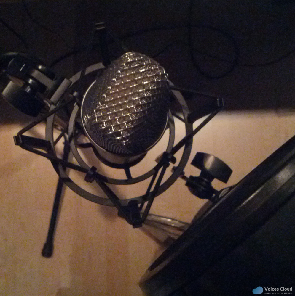 10171Professional Latin American Spanish VO
