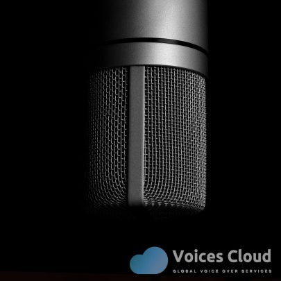 9428Game Voice Over