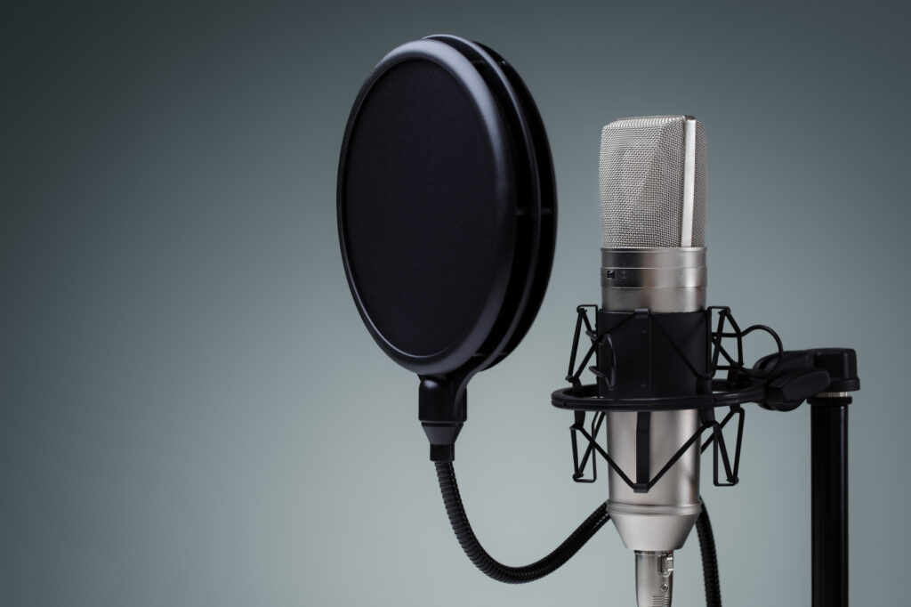 How Much Does It Cost To Get A Voice On Your Project?