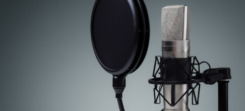 How much does it cost to get a voice on your project?