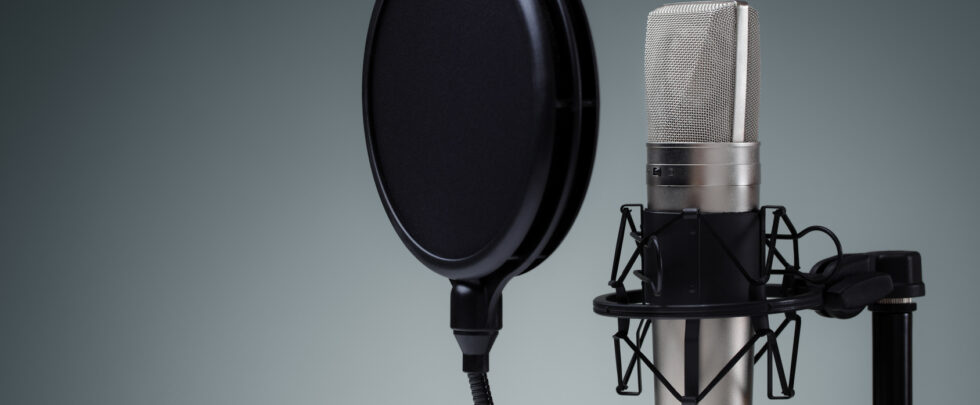 How much does it cost to get a voice on your project?