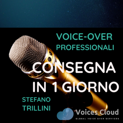 500 Words Italian Professional Voice Over
