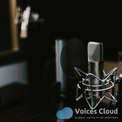 13187English Voice Over Storyteller For You