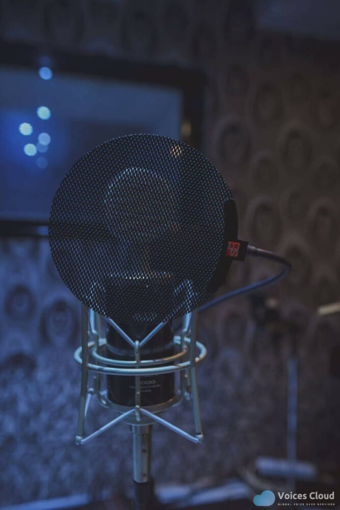12377Arabic & English Voice Over