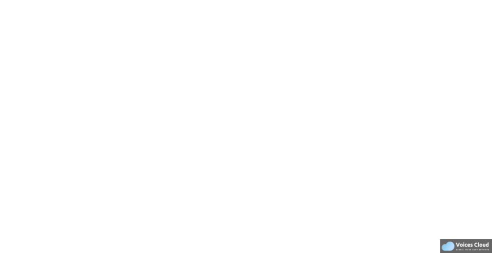 12839American Voice Over | Professional | Reliable | Quality