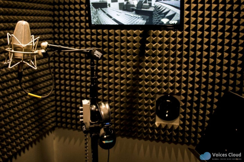 12277French Canadian voice over