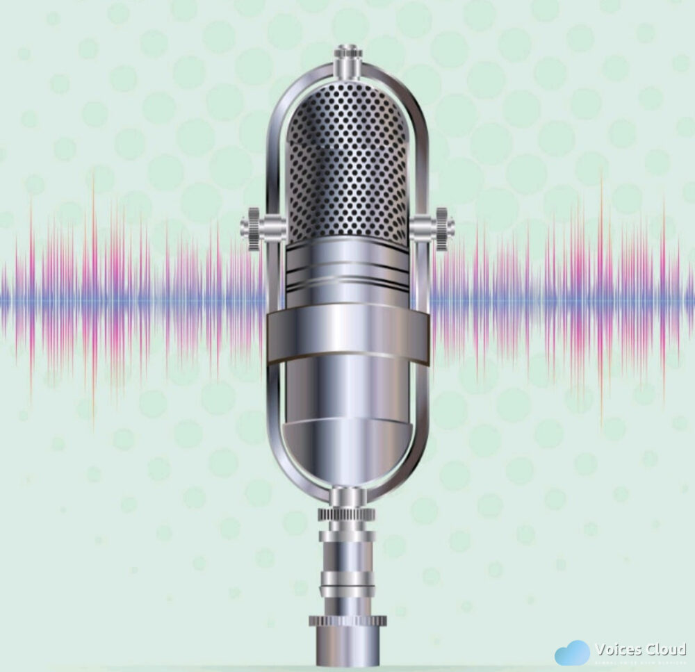14268Hindi voice over