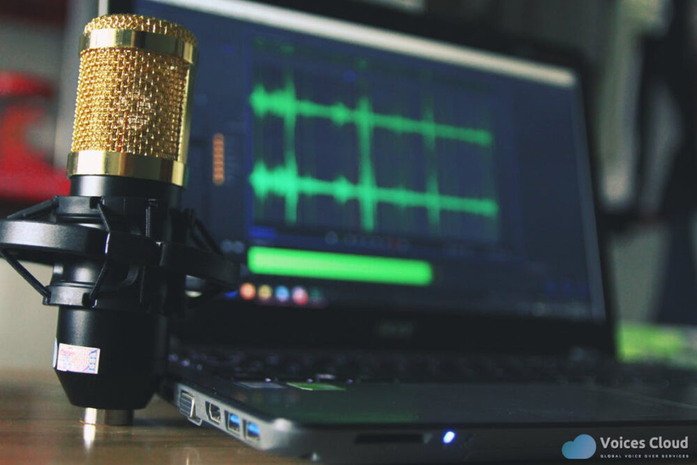 14138Hindi Voices