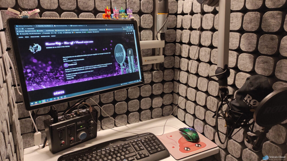 15617French female voice over for long project