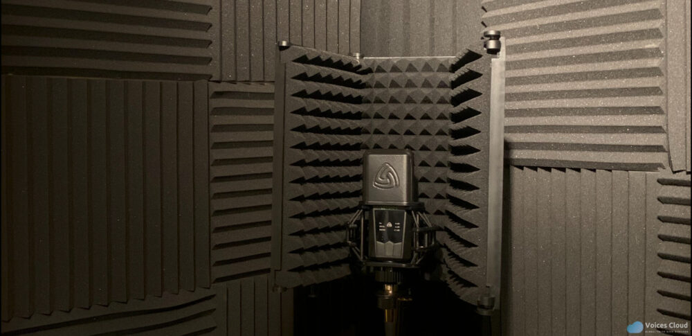 15096Broadcast quality English narration for video and film