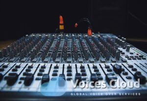 17671Polish Voice Over