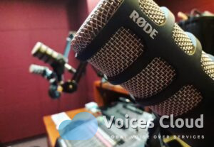 16983Chinese Mandarin Voice Over From Malaysia