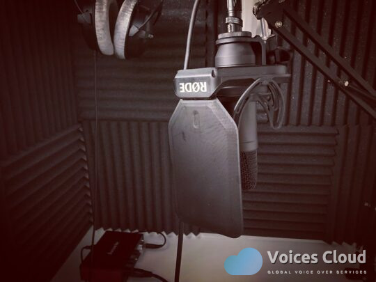 Latin American Voice For Your Animation