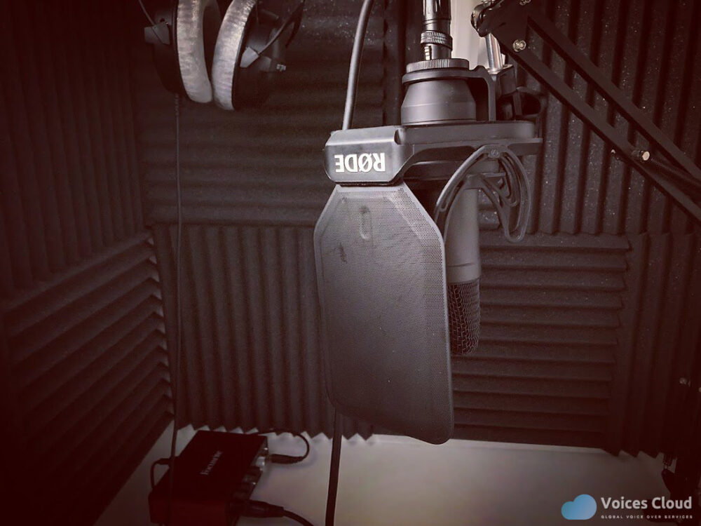 17887Spanish Voice Over