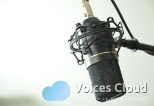 17208English Voiceover for Audiobooks/Narration