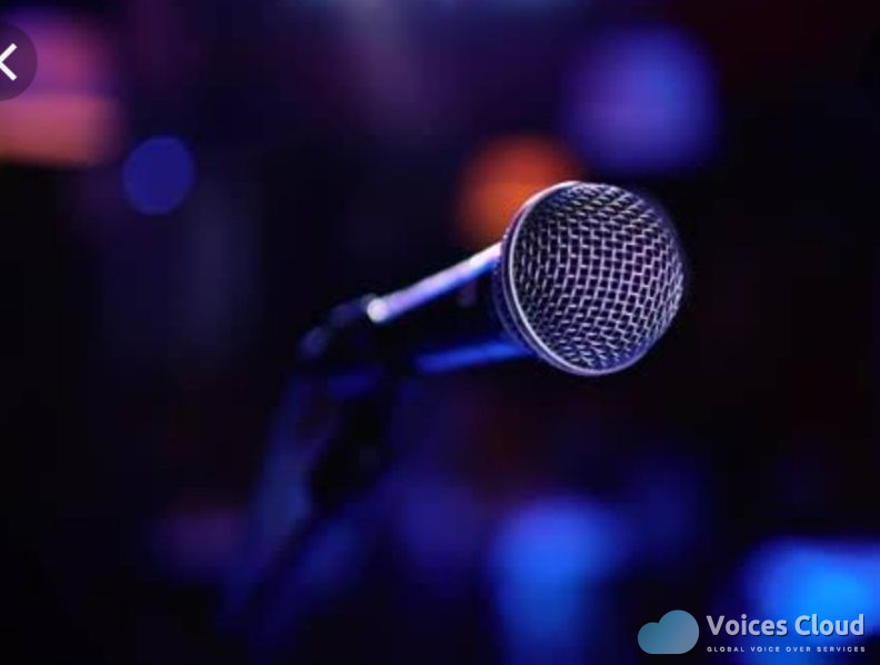 18242Hindi voice over and dubbing