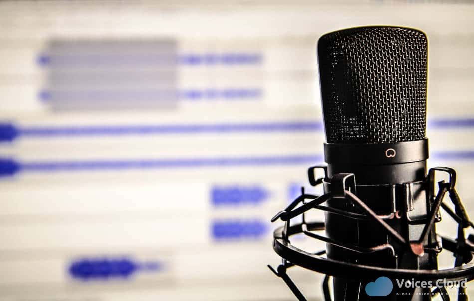 19181Hindi Voice over
