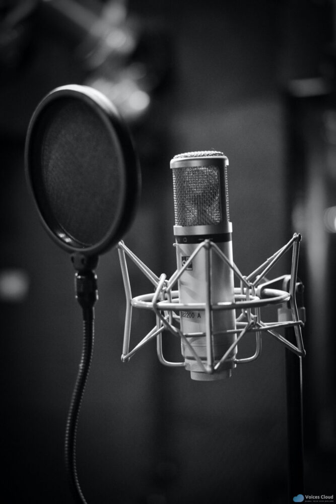 19407Brazilian Voice Over