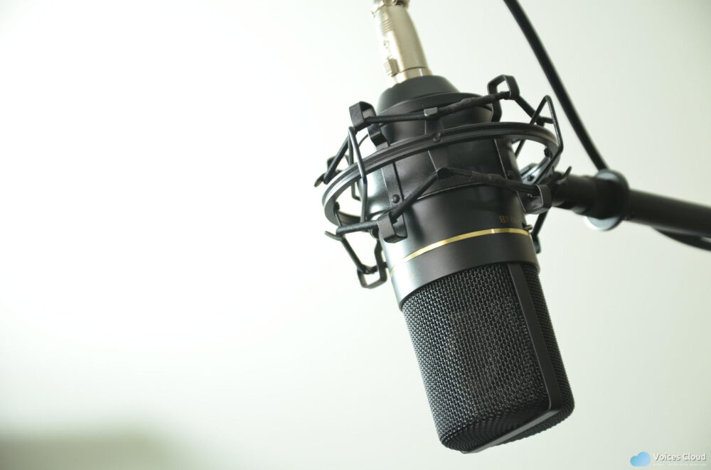 65494I will record professional Slovak voiceover