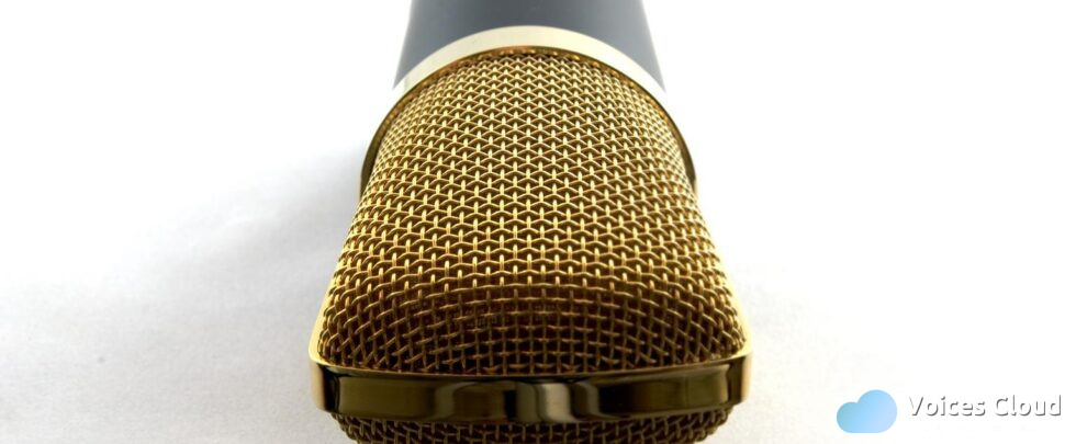 Brazilian Portuguese voice over