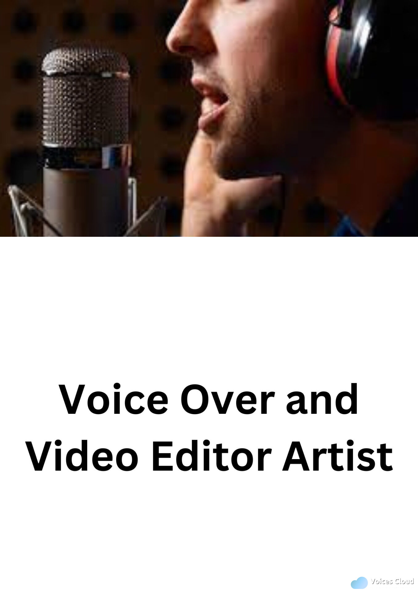 71234Video Maker With Voice Over