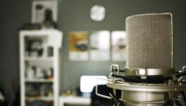 Who needs a voice for their project?