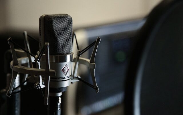 Voice Over Clients May Find Full-Time Voice Actors To Be A Valuable Resource