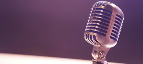 How much does a voice artist cost