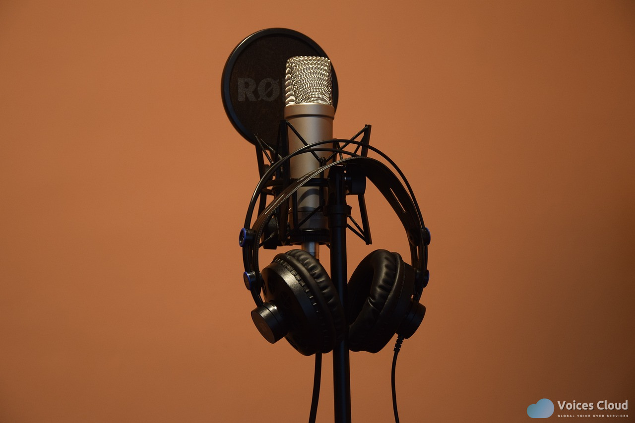 80156Elearning Voice Over
