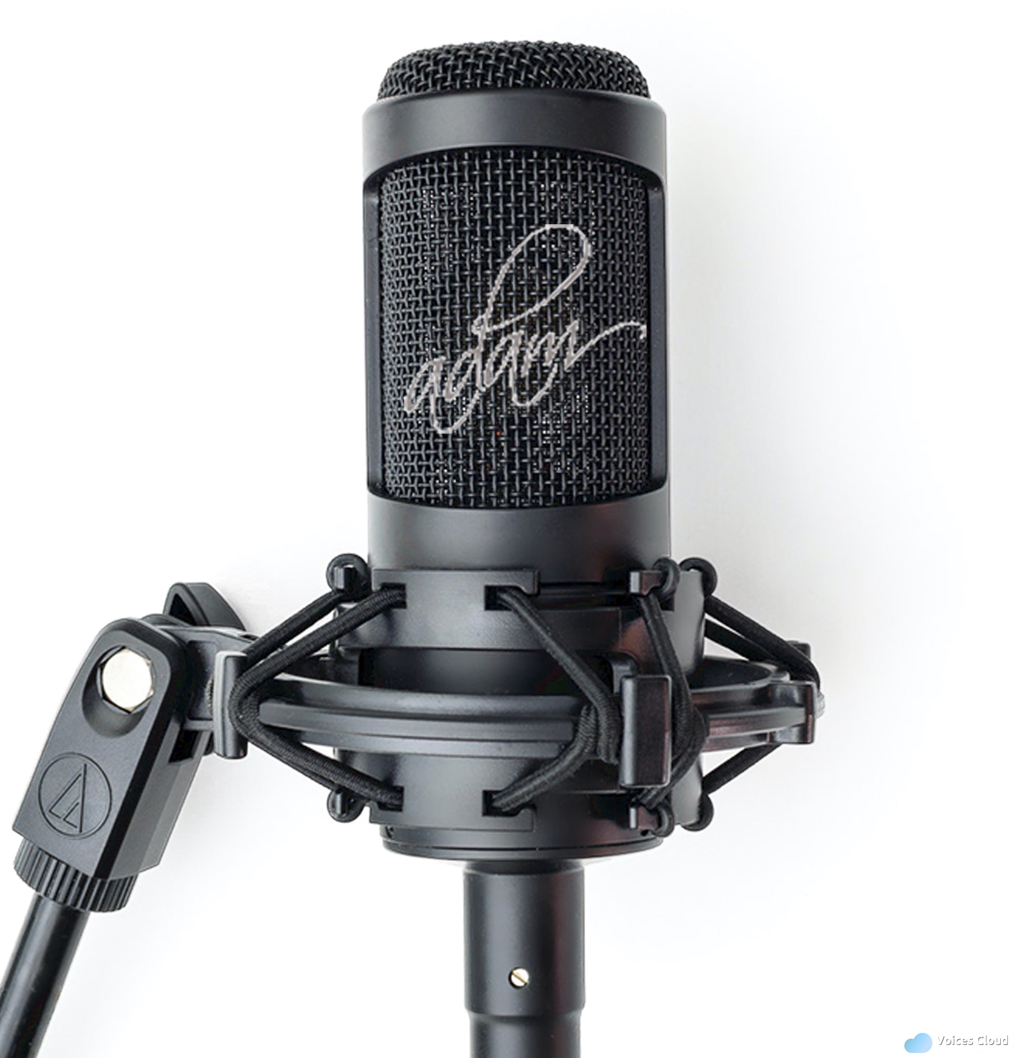 161676Professional Female Voice Over Artist | Commercials, Audiobooks & 
Engaging