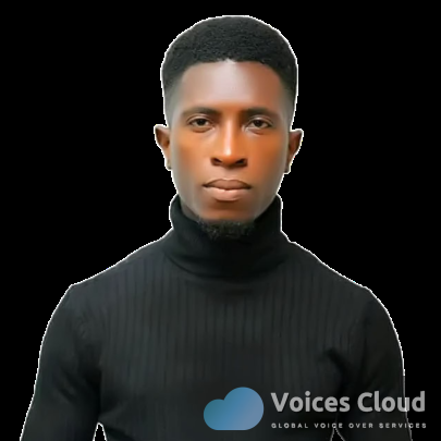 258852Voicescloud.com | Global Voice Over Services