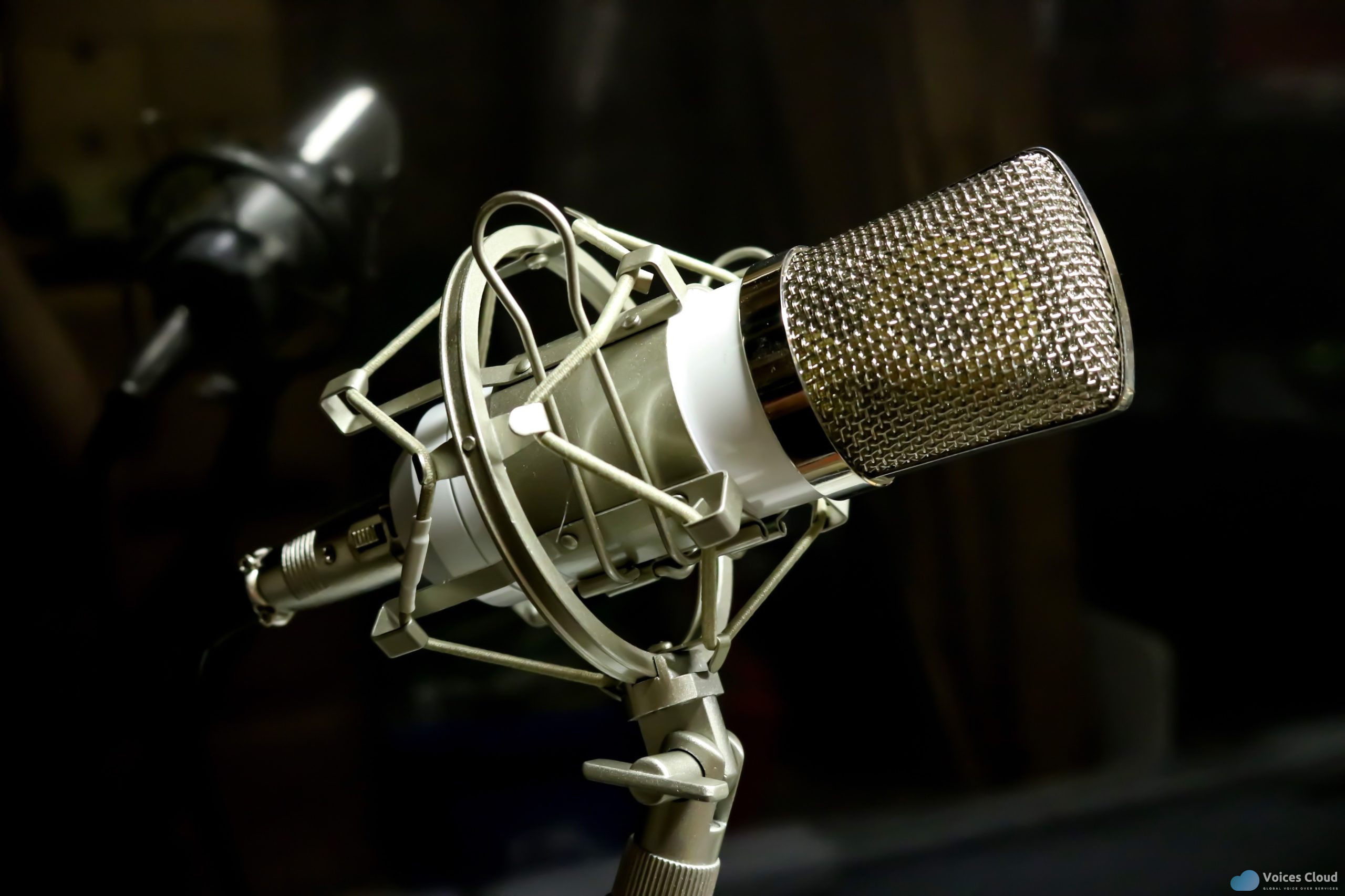 249121Voicescloud.com | Global Voice Over Services